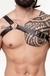 HARNESS FORMATO Y