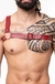 HARNESS FORMATO Y na internet