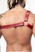 HARNESS FORMATO Y - Domínio Sex Shop
