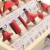 Jogo de Fresas Vermelhas 6mm com 12 Peças para Madeira - FORTGPRO-FG9020 - comprar online