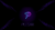 Banner de PULGAR