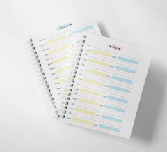 Imagem do Caderno De Fluxo De Caixa E Controle Financeiro Capa Dura Não Datado Wire-O 200 Páginas