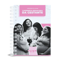 Caderneta de Gestante Personalizada - Versão Essencial - Modelo 3 - loja online