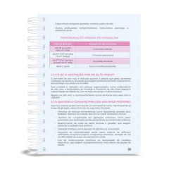 Caderneta da Gestante Personalizada - Versão Essencial - Modelo 6 - comprar online