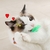 Vara de isca para gatos na internet