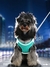 Kimpets Dog Harness Clothes Vest Chest Cat Collars Rope Small Dogs Reflective Breathable Adjustable Outdoor Walking Pet Supplies - comprar online