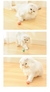 Bola elétrica para gatos - comprar online