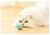 Bola elétrica para gatos na internet