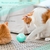 Bola elétrica para gatos