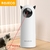 Teasing Pet LED na internet
