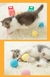 Bola elétrica para gatos - loja online