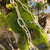 COLLAR FIJI en internet