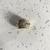 Anillo Marfa