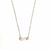 COLLAR CAIX - Placei Argentina