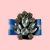 ROSETTE HIMNO - buy online