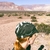 Cap - Verde