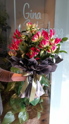 Beleza Gloriosa