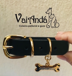 Coleira Personalizada - comprar online