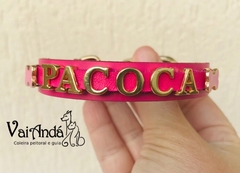 Coleira com Nome