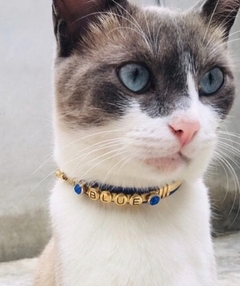 Coleira Personalizada Gatos