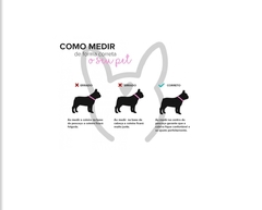 Coleira de Identificação Gato na internet