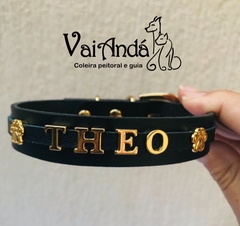 Coleira com Nome - comprar online