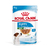 ROYAL C POUCH MINI PUPPY (95956)