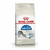 ROYAL C FELINE INDOOR 1.5 Kg (7790187100176)