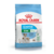 ROYAL C MINI STARTER 1 KG (7790187001893)