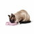 COCOONING BOWL MELAMINA CATS 200 ML (12620)