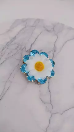 Escarapela Balcarse en internet