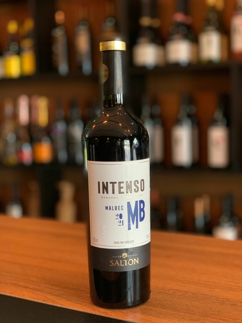 Intenso Malbec 750ml Salton