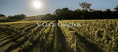 Carrusel Vinhos de Origem Qualificada