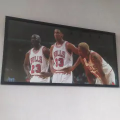 BULLS