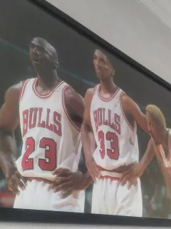 BULLS - comprar online