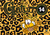 GATURRO 14