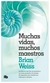 Muchas vidas, muchos maestros (Pocket)