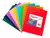 Cuaderno Escolar Triunfante 21x16 cm 50 Hjs cuadriculadas