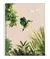 Cuaderno Ledesma Nat A4 70 Hs. Rayado Espiral 22,3 x 29,5 cm en internet