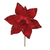 Pick Poinsetia Natalina 34x28cm 1un