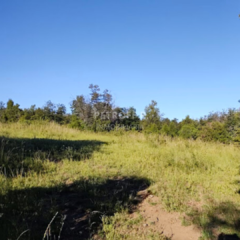 Imagen de TERRENOS 3 HA TREVELIN