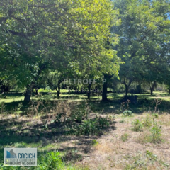TERRENO LOTEO PRIVADO - LAGO PUELO