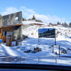 Imagen de COMPLEJO DE CABAÑAS - CHOLILA