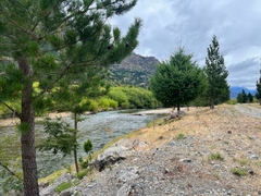 Campo de 4 Hectáreas en Venta – El Hoyo, Chubut