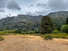 Campo de 4 Hectáreas en Venta – El Hoyo, Chubut - tienda online