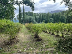 Campo de 4 Hectáreas en Venta – El Hoyo, Chubut en internet