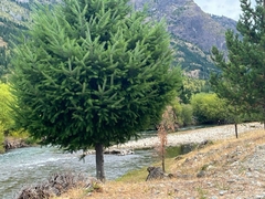 Campo de 4 Hectáreas en Venta – El Hoyo, Chubut
