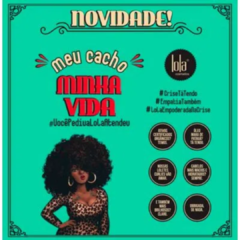 Meu Cacho Minha Vida Lola Cosmetics - Shampoo Hidratante 500ml na internet