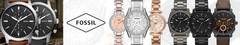 Banner de la categoría Fossil