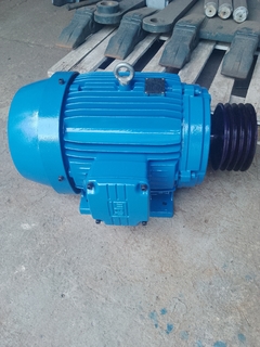 Motor Weg trifásico 30 cv trifásico de baixa rotação - Léo Máquinas